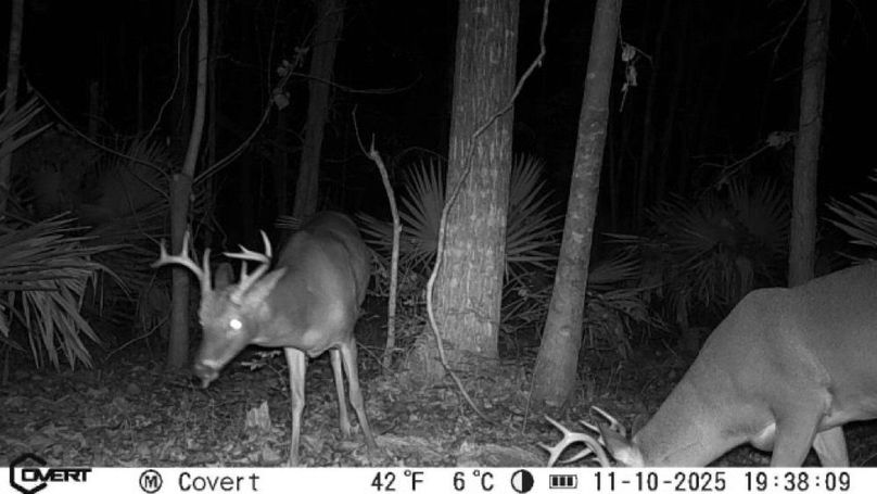 11_10_2025_19_38_09_3247561786