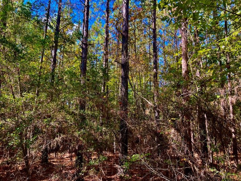 E5CDC83C-2498-41B3-9F1C-1F9FD872A437_1_201_a