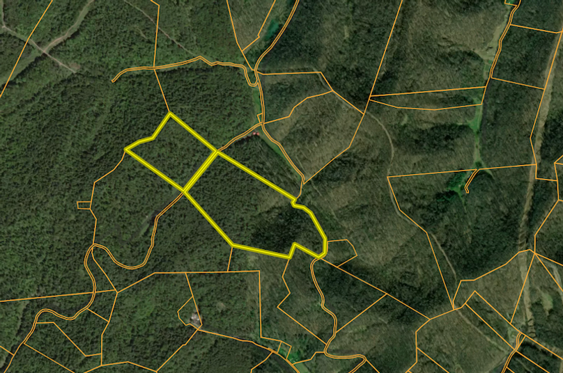 Screen Shot 2026-02-14 at 11.21.48 AM