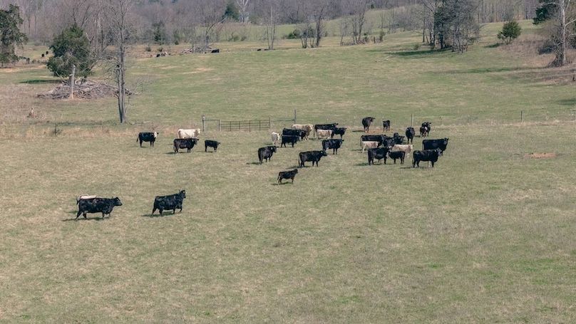 DJI_20260325115040_0079_D