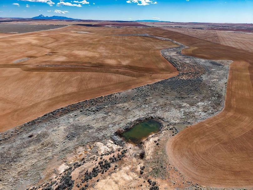 DJI_20260307141150_0107_D