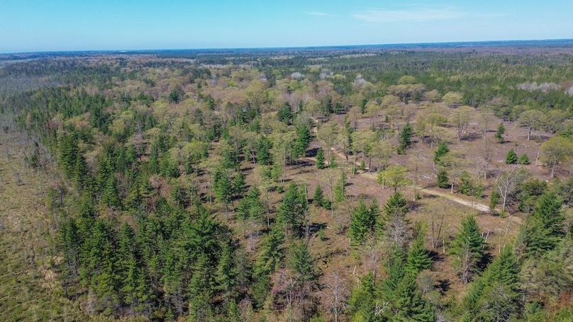 DJI_0088