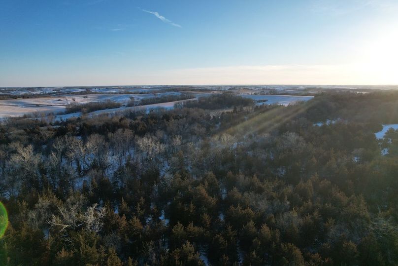 DJI_0496