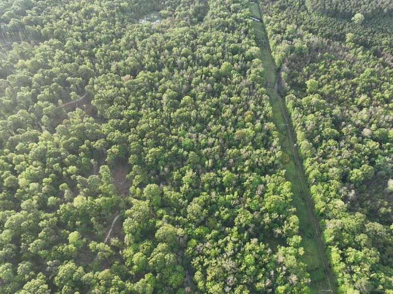 dji_fly_20260407_083232_349_1775580352988_photo