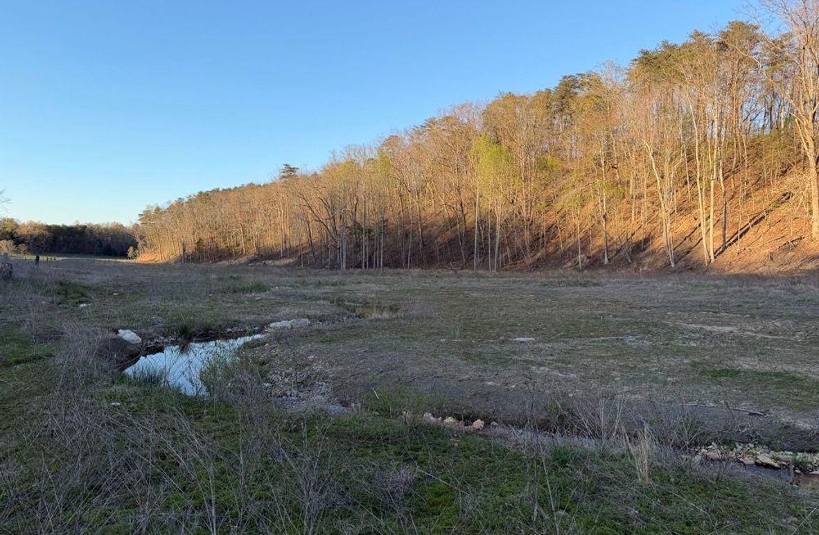 004 the main blue line stream