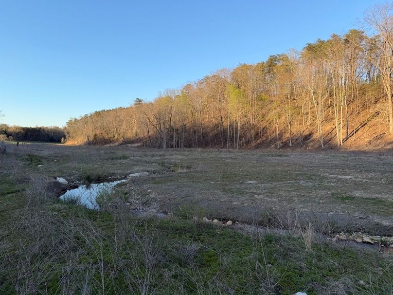 004 the main blue line stream