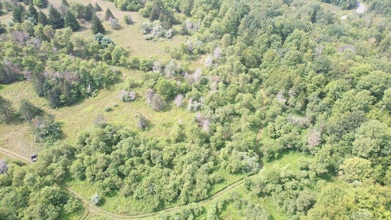 dji_fly_20250804_153132_487_1754355818105_photo