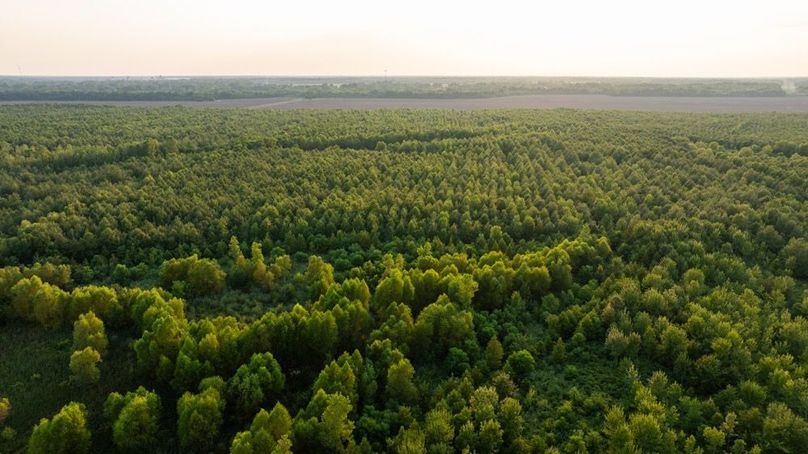 MadisonParLa1372-070