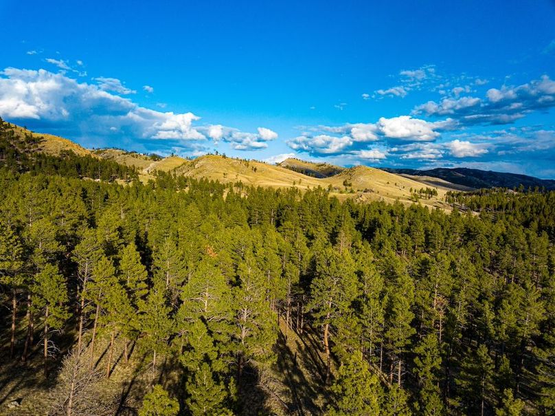 20250430-DJI_0014