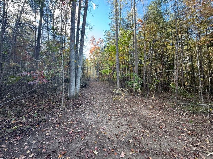 014 one of the many open road systems leading around the property