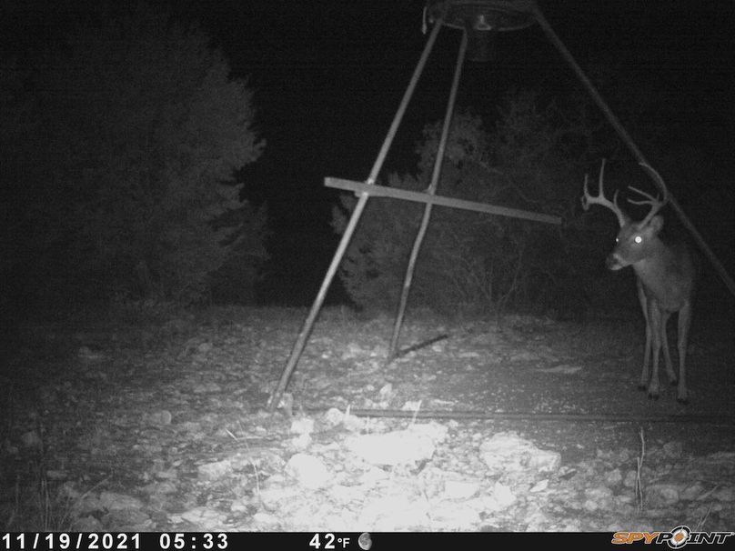 Game Camera 5