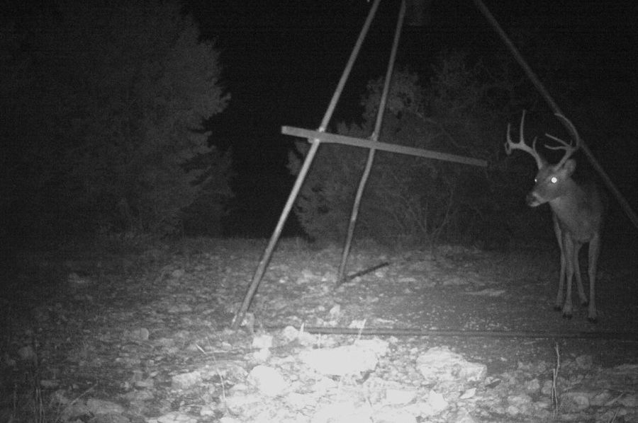 Game Camera 5