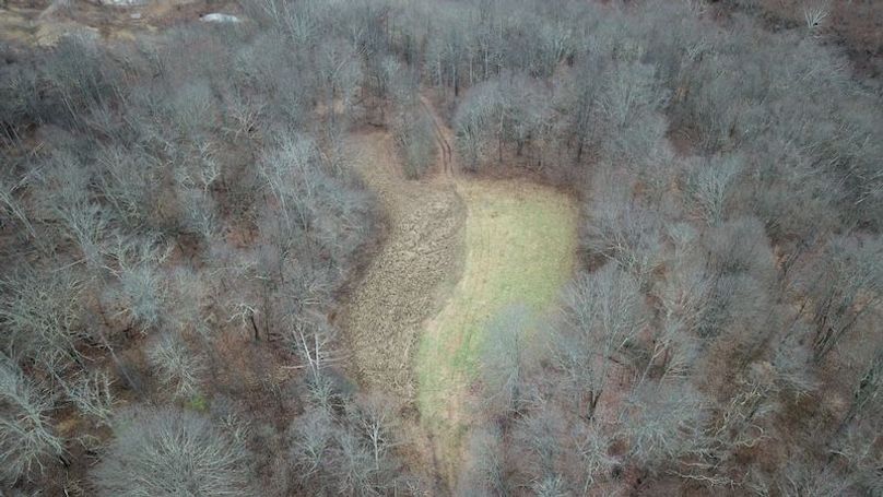 org_627c5d1e35066cf1_1767821978000