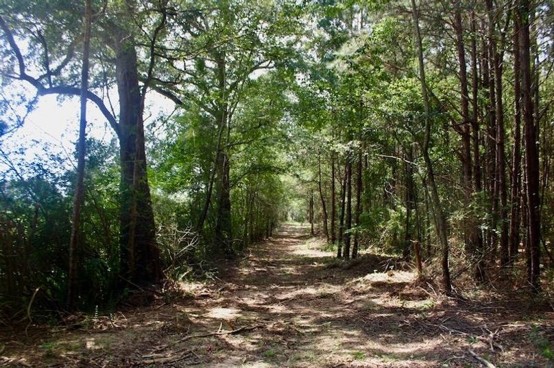 FBF7B714-043E-417C-BA90-A26C2DAF437D_1_105_c