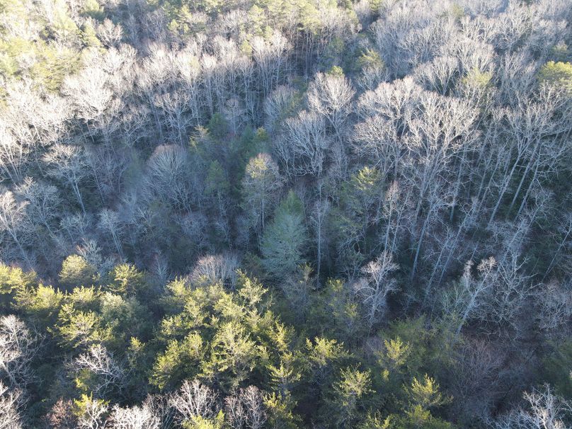 Cherokee 69.74 Stiles-45