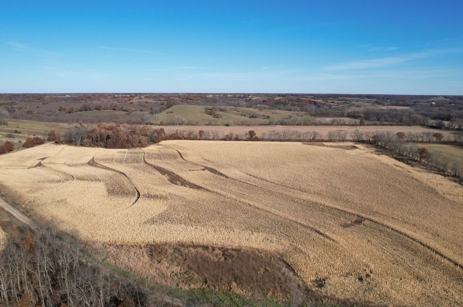 DJI_0968