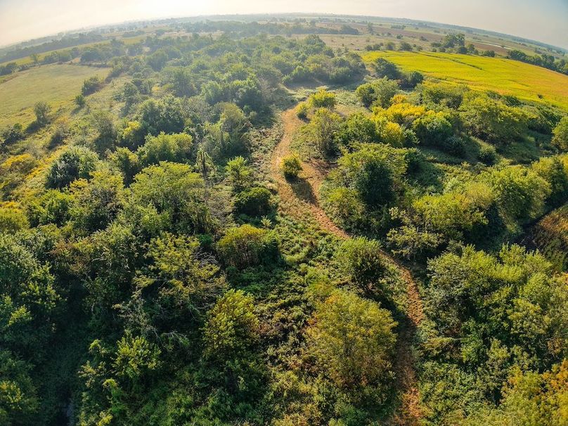 DJI_20250906082902_0103_D