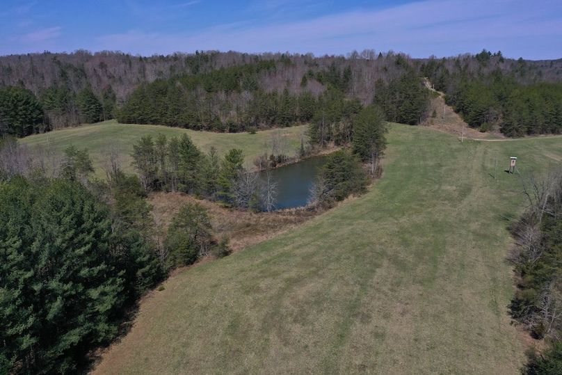023 beautiful view of the pond and fields