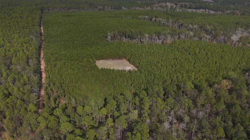 DJI_20231214123549_0010_D