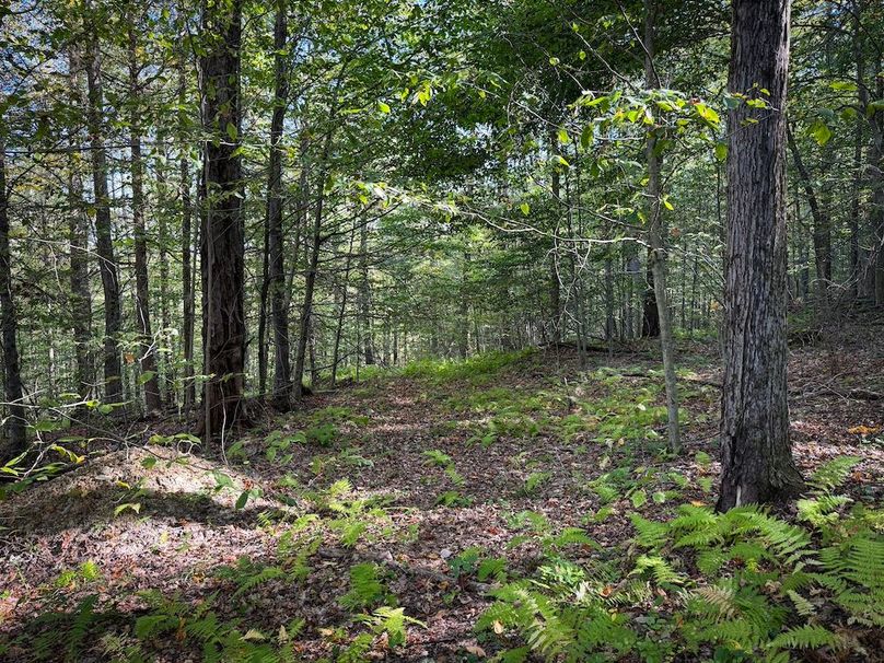 Tompkins NY 87 Allen Photos 46