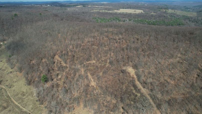 dji_fly_20260330_112836_227_1774884954505_photo