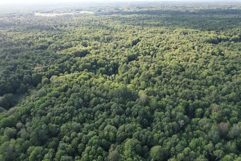 Jefferson_260.3_ Lobach_Photos_46