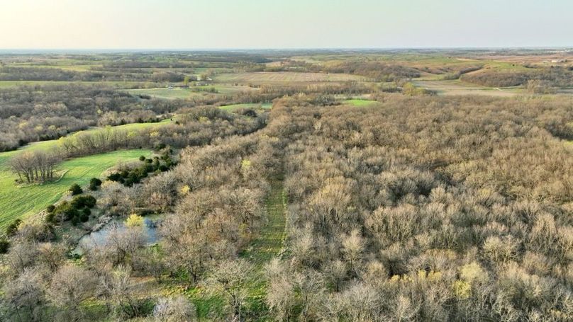 DJI_0303