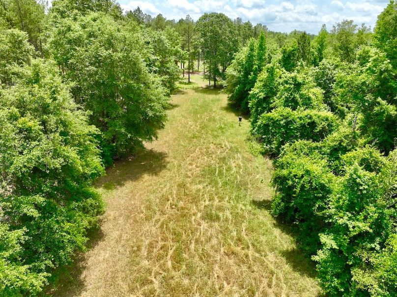 dji_fly_20240508_125514_292_1715187589906_photo