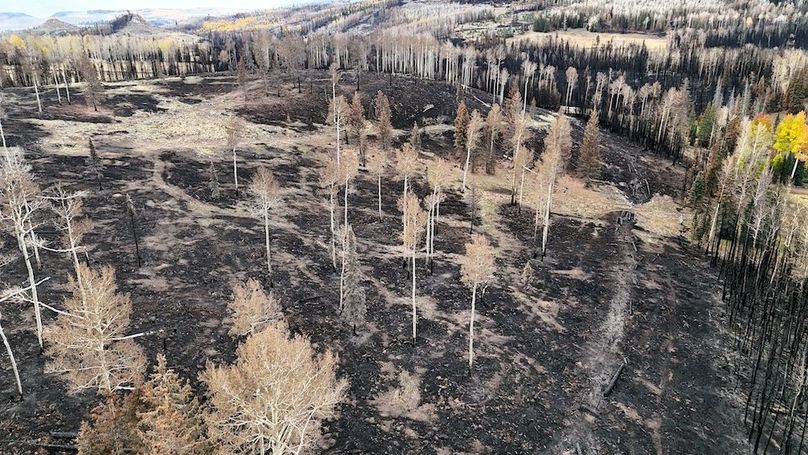 DJI_20250927091858_0174_D