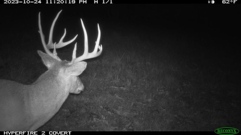 2023-10-24 23-20-19 M 1_1 (2)