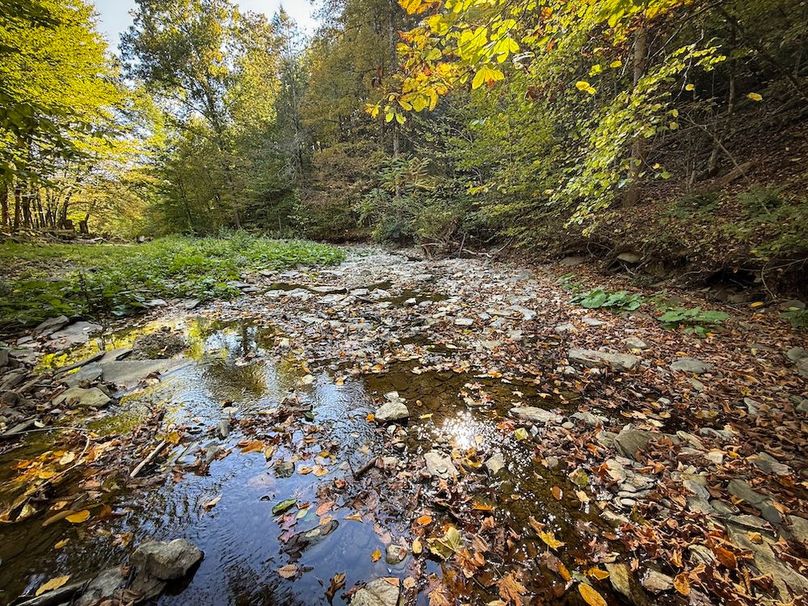 Tompkins NY 87 Allen Photos 28