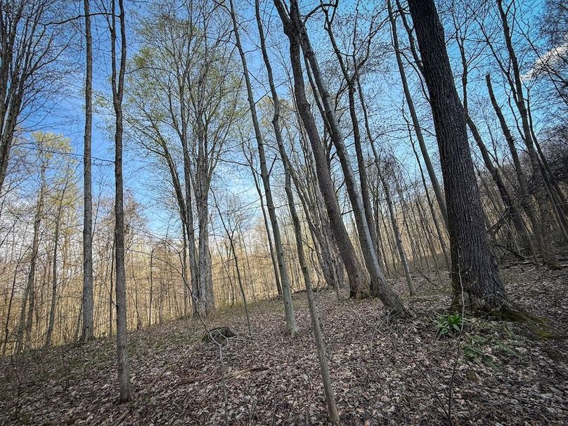 Cayuga_23.5_Demott_photos_14