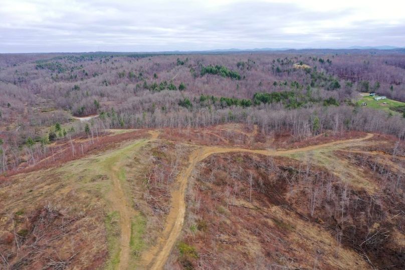 DJI_0453