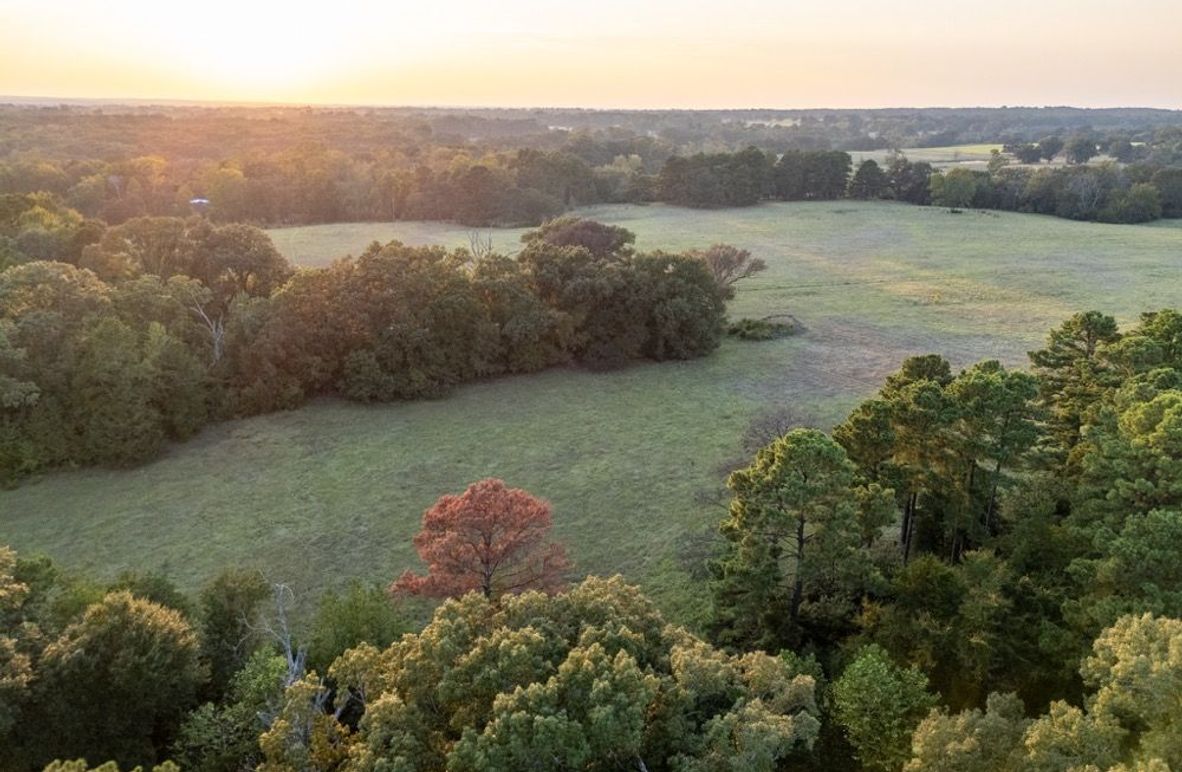 3 Wood co. 45ac - Penix edited-54