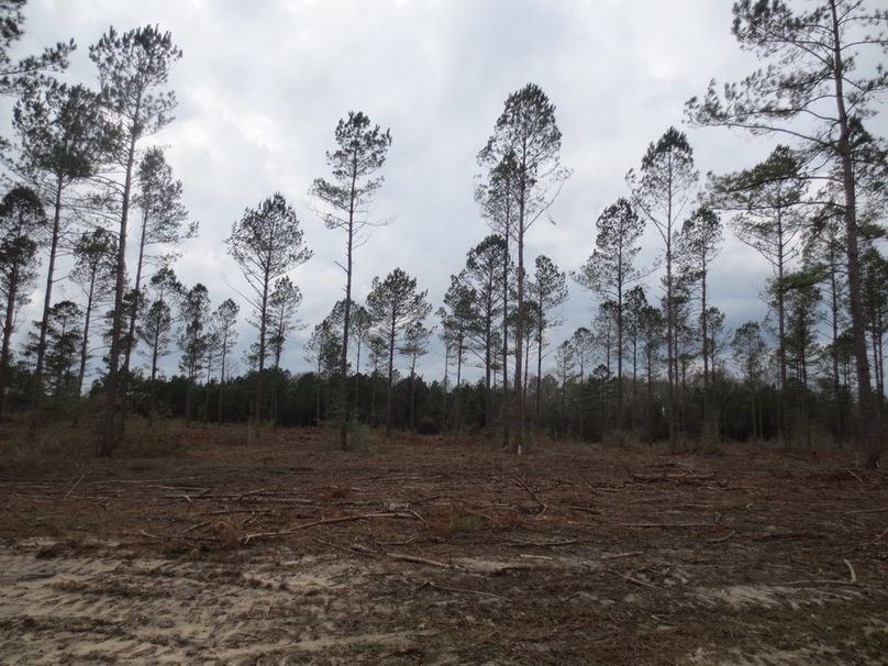 EE3AF87D-EE58-404C-A315-11A15035E999_1_105_c