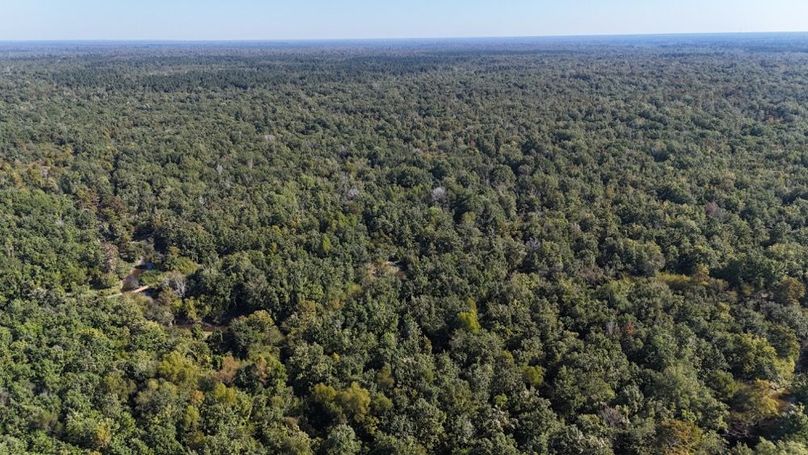 Copy of dji_fly_20251014_234226_0053_1760476880410_photo