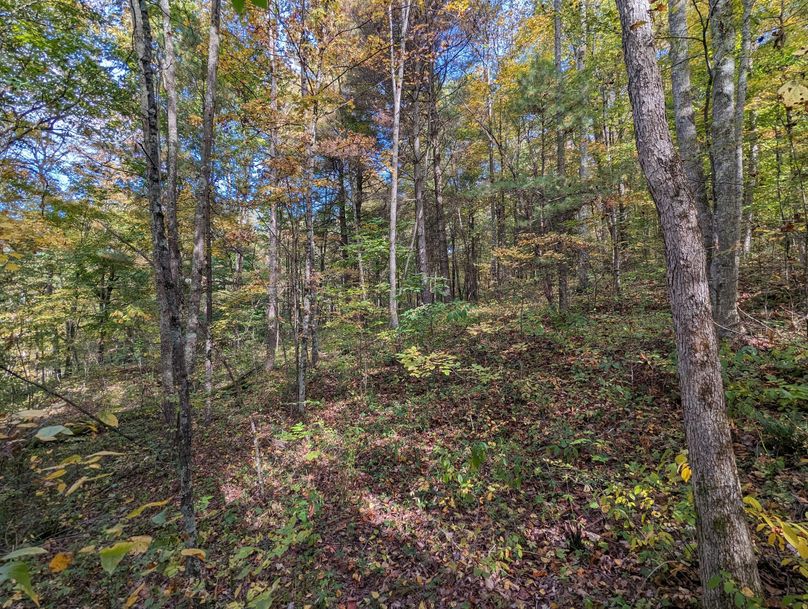 PXL_20231004_191219207