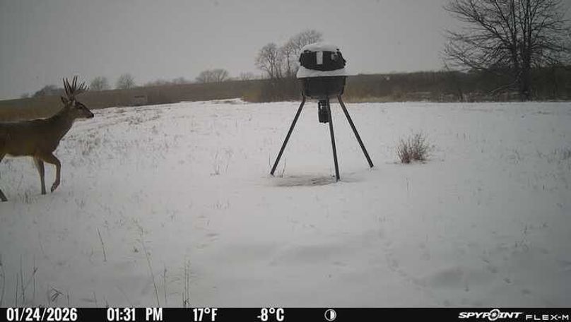 Trail Cam 3