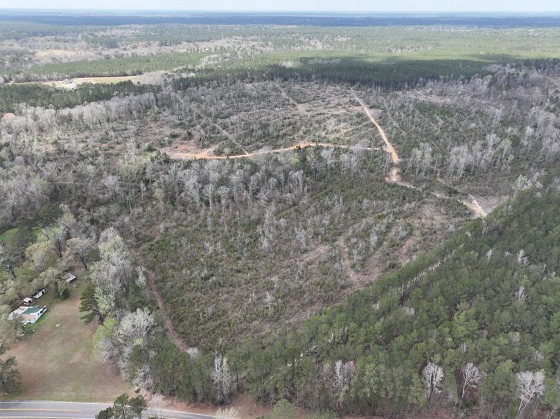 dji_fly_20260303_140006_291_1772637941866_photo