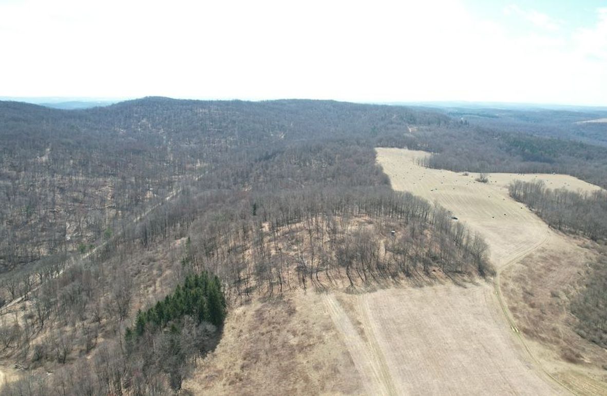 dji_fly_20250325_123442_43_1742920830683_photo