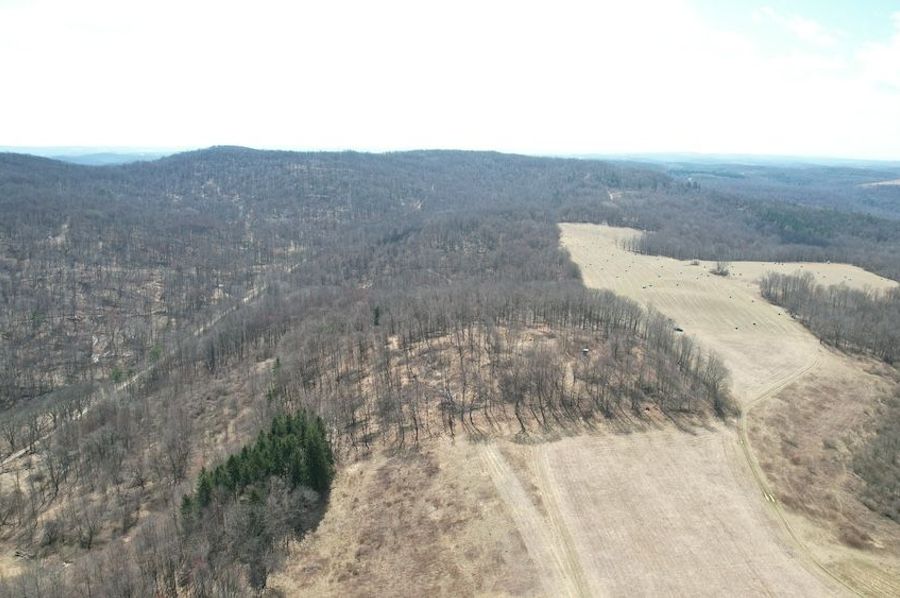 dji_fly_20250325_123442_43_1742920830683_photo