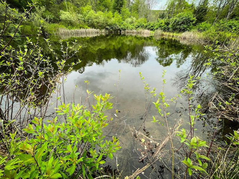 Tioga_78_Biada_Photos_70