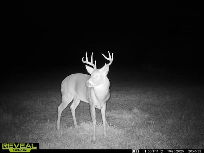 865509050128614-40-4-10252025204549-W1030168