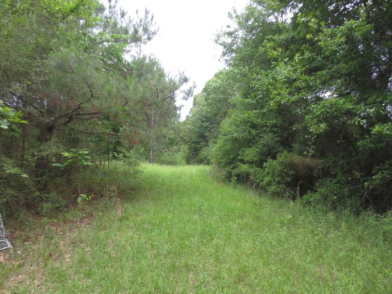 3FE08C16-CDE2-4D71-8002-3E4C87E76872_1_105_c