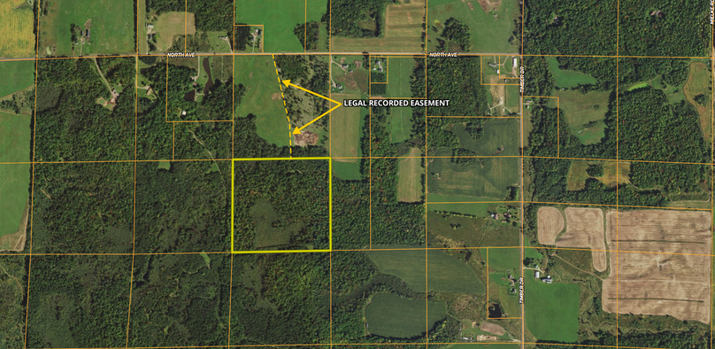 Screen Shot 2023-07-06 at 3.13.19 PM