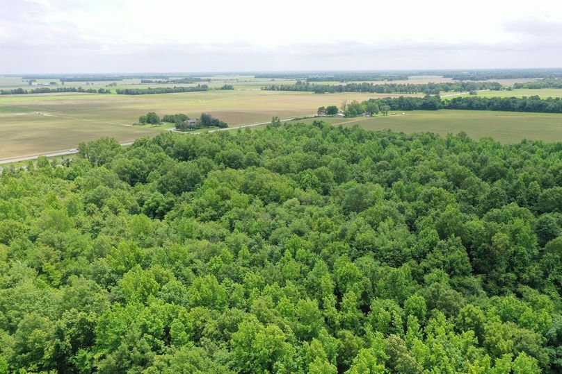 DJI_0852