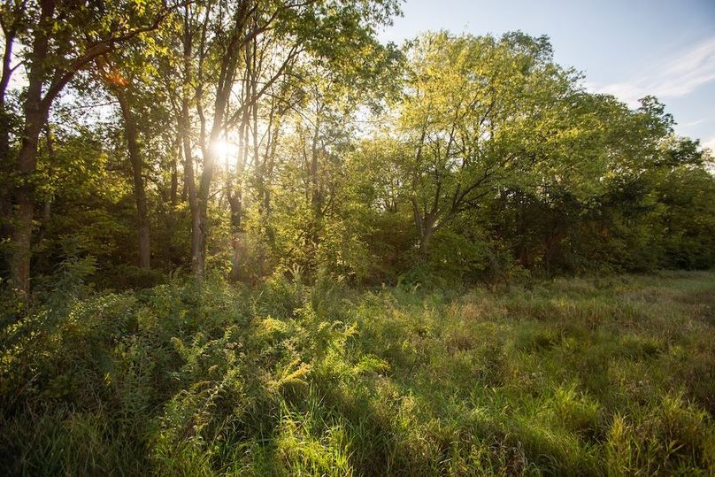 Copy of POTTAWATTAMIE CO IA 311 TRACT 3_23