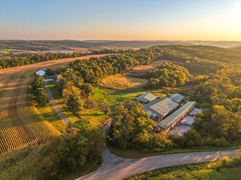 Monroe 5.31-08 Large