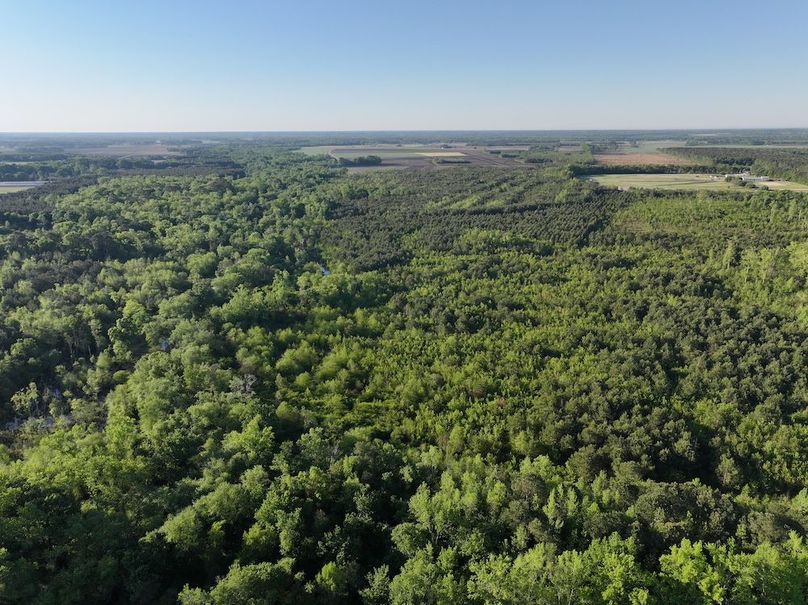 DJI_20250417073504_0023_D