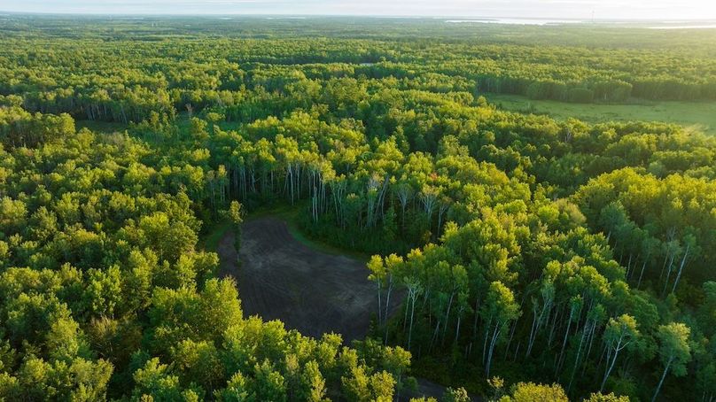 Cass MN 1095 Featured ProPhoto-63